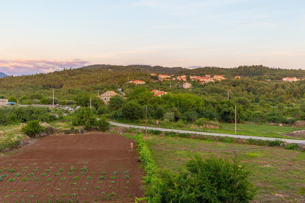 Konavle Apartments Zlatovisce Gruda Exterior foto